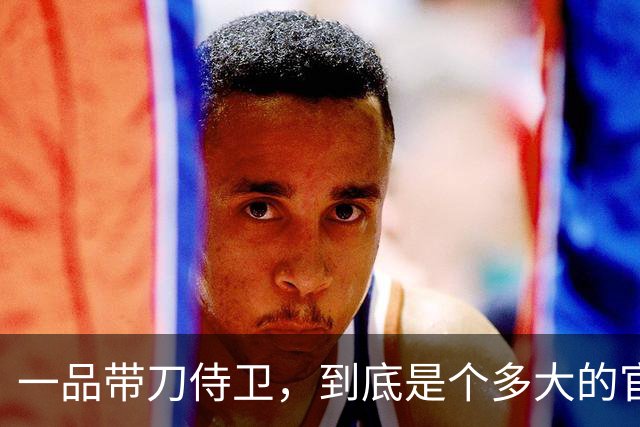 一品带刀侍卫，到底是个多大的官？