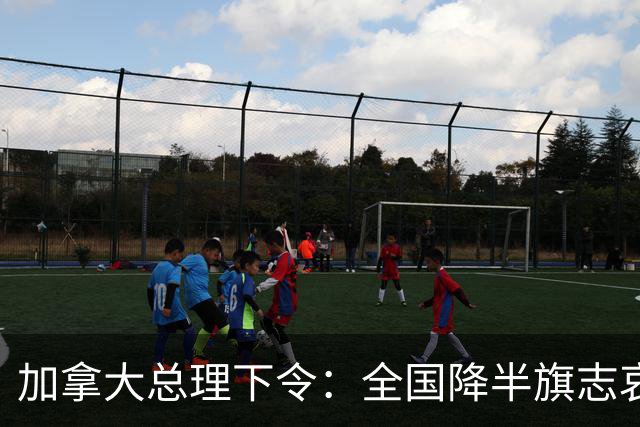 加拿大总理下令：全国降半旗志哀