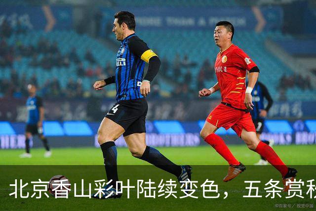 北京香山彩叶陆续变色，五条赏秋线路各有特点