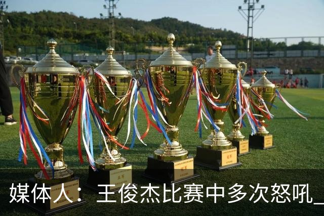媒体人：王俊杰比赛中多次怒吼 把夏天压抑的心情全部发泄出来了
