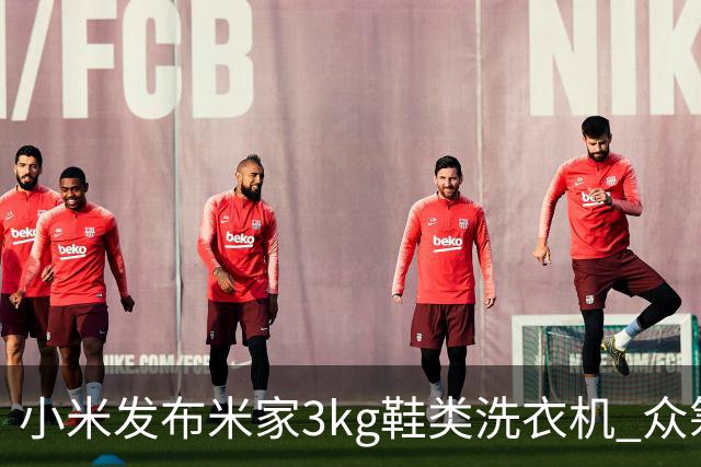小米发布米家3kg鞋类洗衣机 众筹价799元