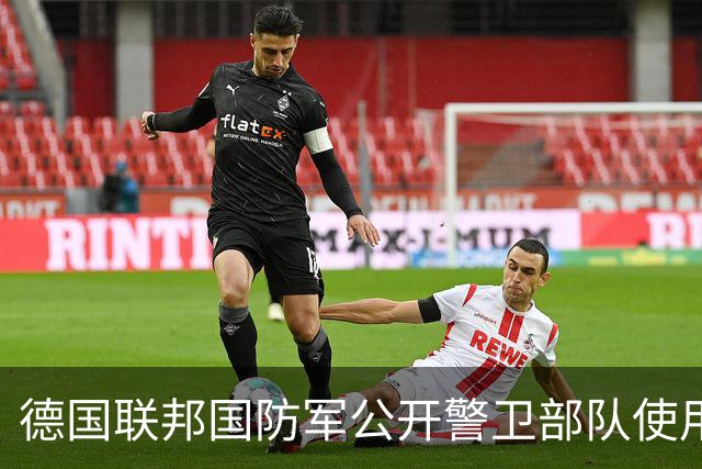 德国联邦国防军公开警卫部队使用中国无人机 大疆Mini 4 Pro变军版