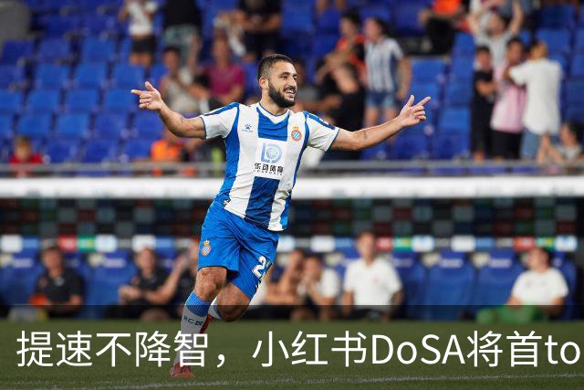 提速不降智，小红书DoSA将首token延迟减半